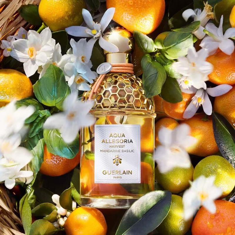 عطر Mandarine Basilic Harvest